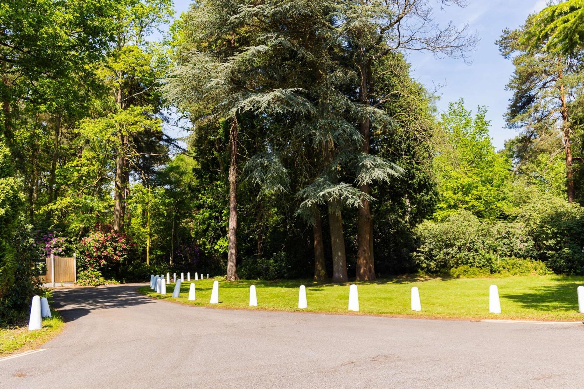 Hilton Cobham Hotel Exterior foto